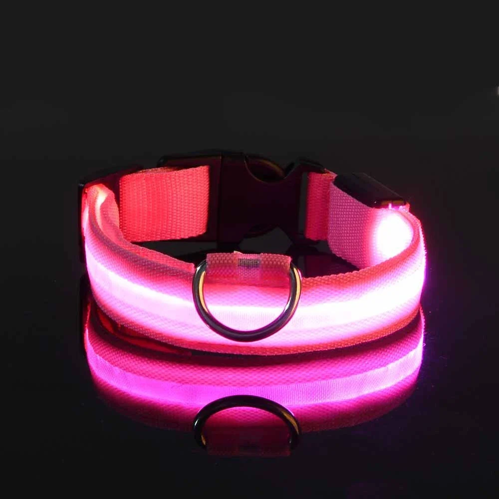 LightUp - das Halsband um ihn im Blick zu behalten
