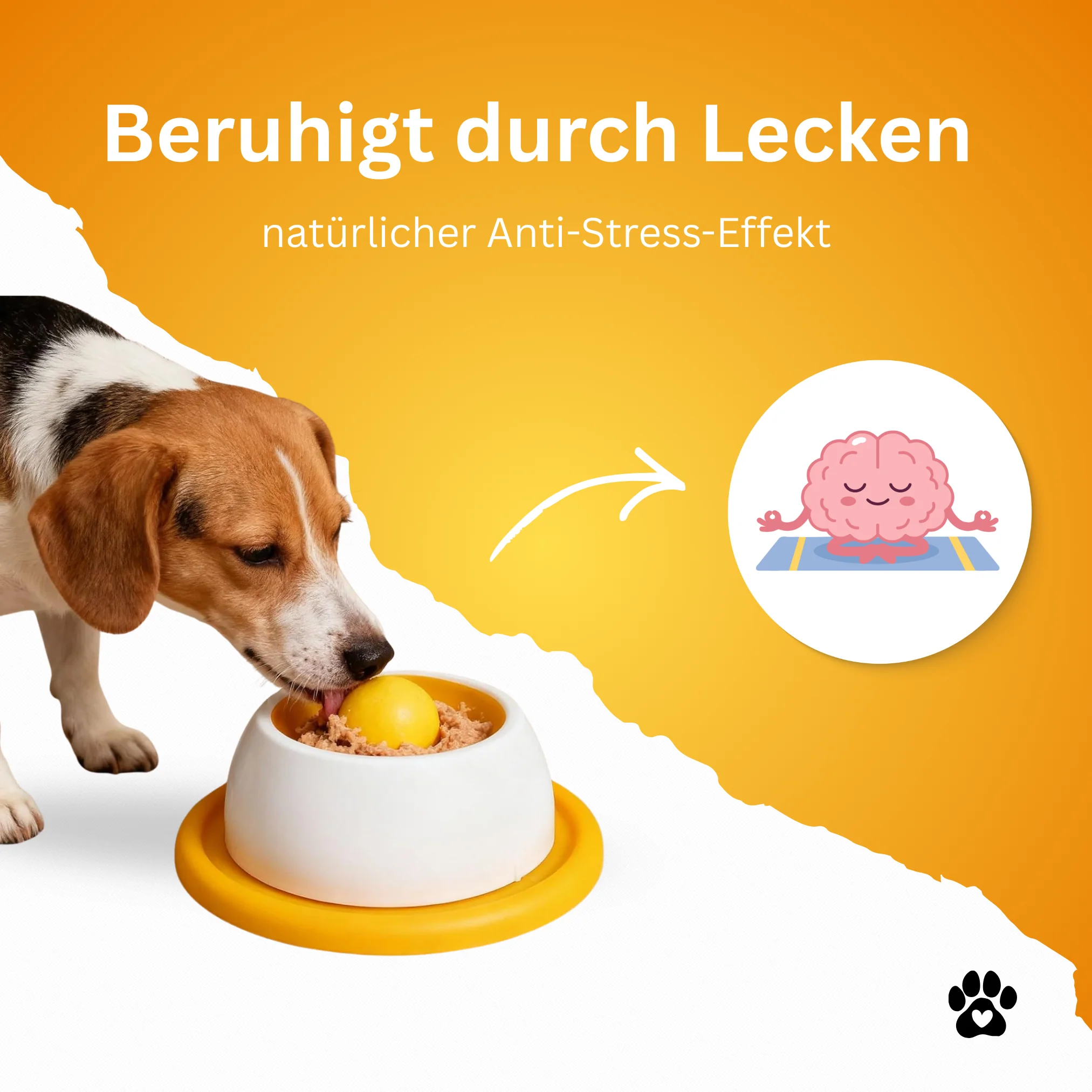 Schlecki Mini