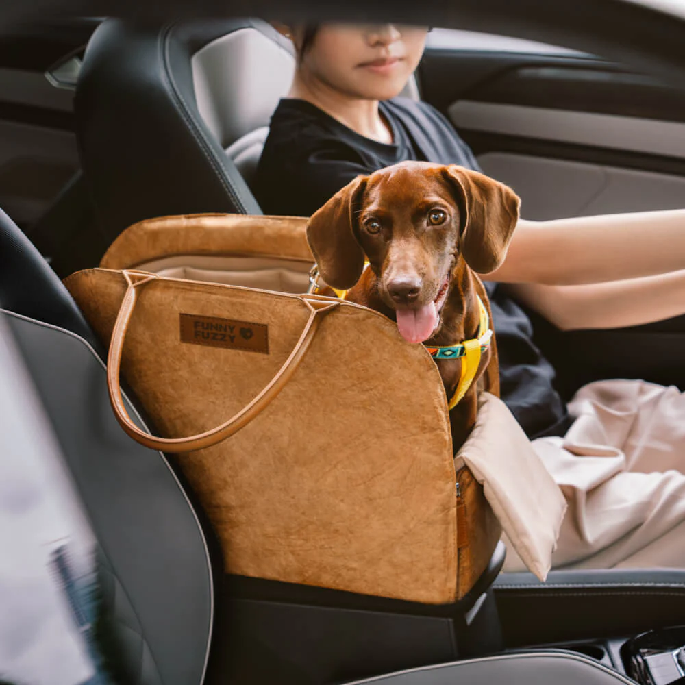 Vogue Eco-friendly Multi-functional Cat&Dog Carrier Pet Travel Bag - City Roamer