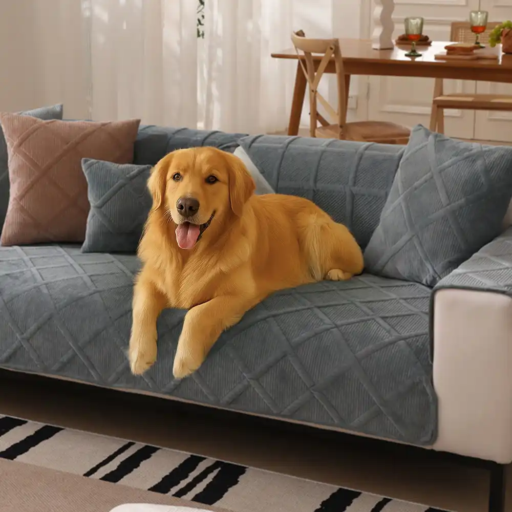 Velvety Soft Short Plush Modern Interiors Couch Cover