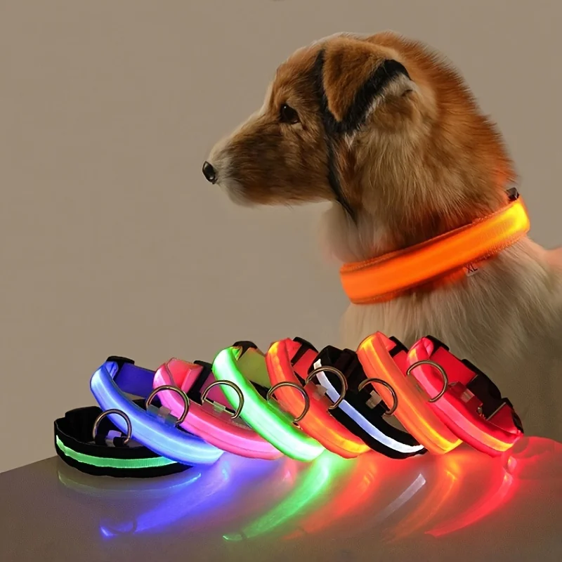 LightUp - das Halsband um ihn im Blick zu behalten